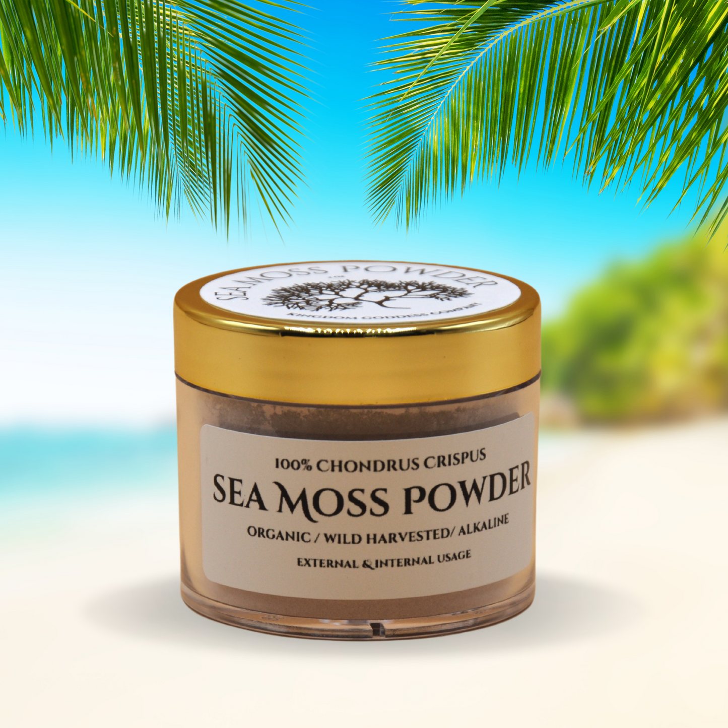 Seamoss Powder